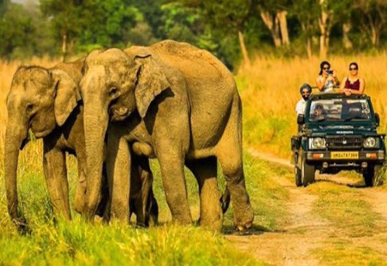 Jim Corbett National Park, Uttarakhand